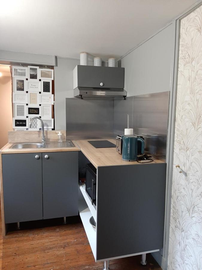 Dans Moulin Au Bord De L'Eau, Appartement Chaleureux Saint-Pryvé-Saint-Mesmin Eksteriør bilde
