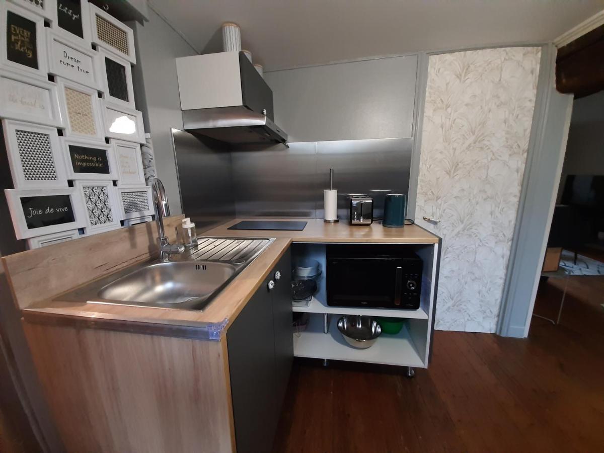 Dans Moulin Au Bord De L'Eau, Appartement Chaleureux Saint-Pryvé-Saint-Mesmin Eksteriør bilde