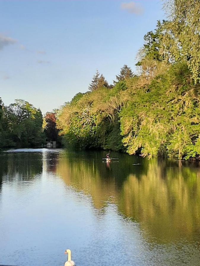 Dans Moulin Au Bord De L'Eau, Appartement Chaleureux Saint-Pryvé-Saint-Mesmin Eksteriør bilde
